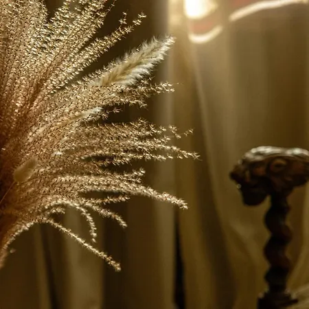 게스트하우스 La Maison Bakea 콜드즈수르씨엘