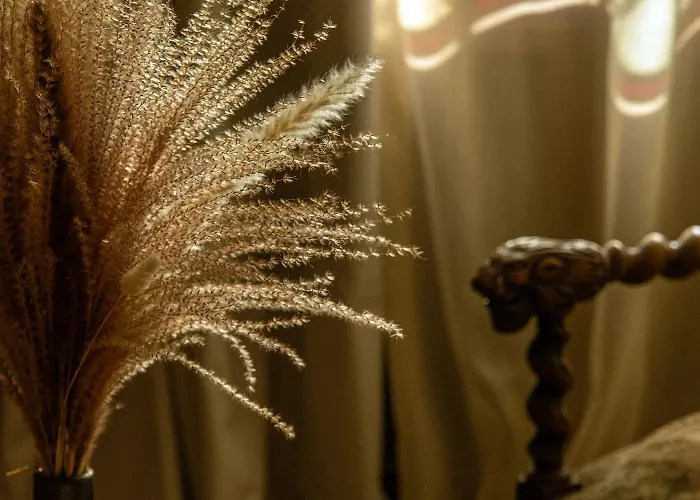 게스트하우스 La Maison Bakea 콜드즈수르씨엘