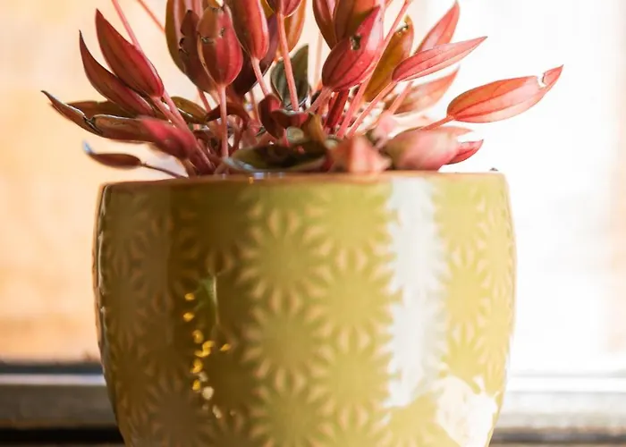 게스트하우스 La Maison Bakea 4*